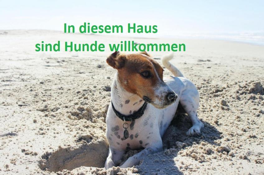 فندق Regenbogen Suhrendorf Ummanz المظهر الخارجي الصورة
