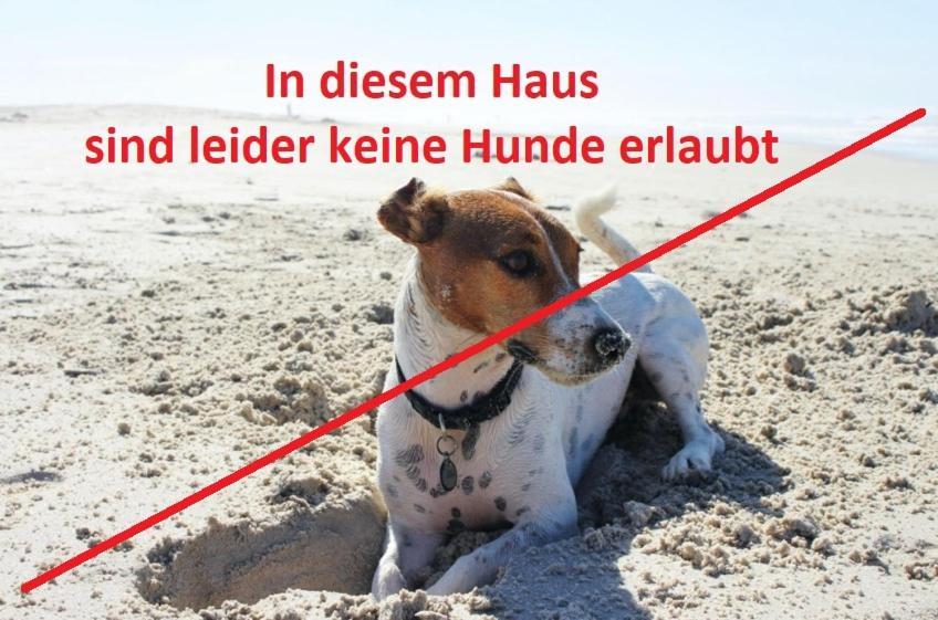 فندق Regenbogen Suhrendorf Ummanz المظهر الخارجي الصورة